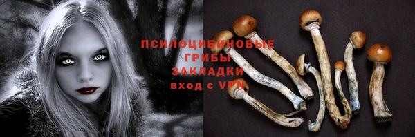 трава Наволоки