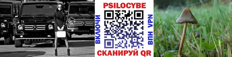 Галлюциногенные грибы мицелий  Купить  Лыткарино 